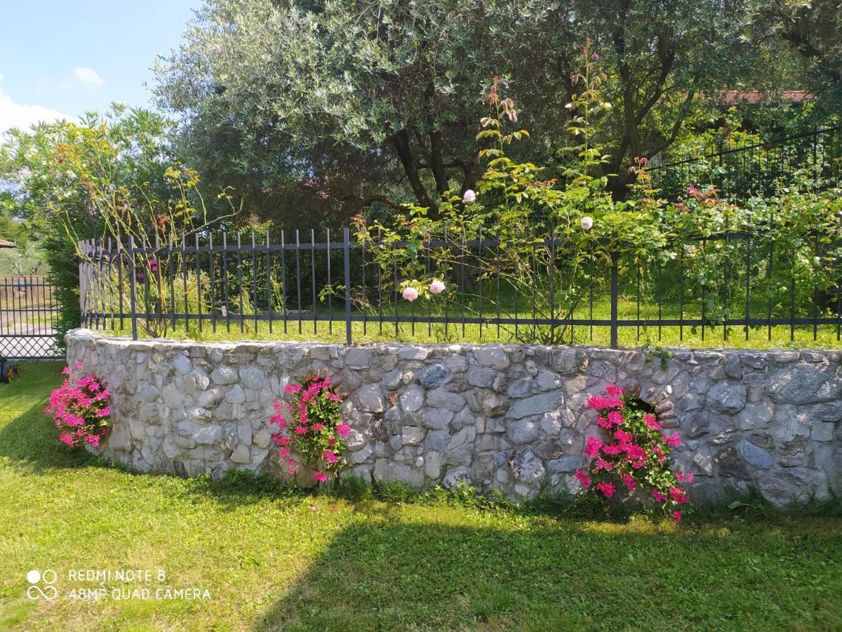 Mary Rose Apartments Oliveto Lario Dış mekan fotoğraf